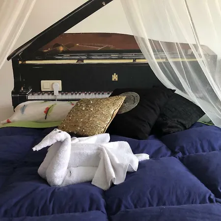 La Casa Del Pianista